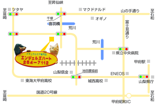 〒400-0061 山梨県甲府市荒川2-8-8