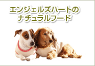�댯�ȃy�b�g�t�[�h�Ƃ�
